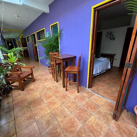 Casa Romano Hostel 산 후안 델 수르 외부 사진